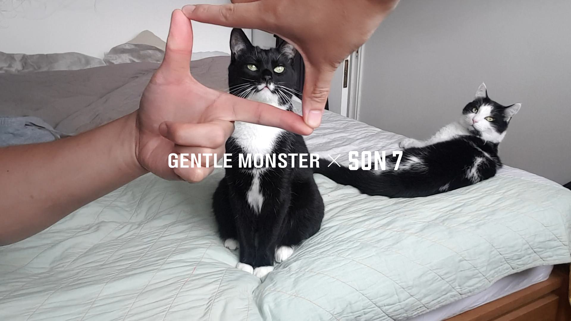 GENTLE MONSTER | SON7